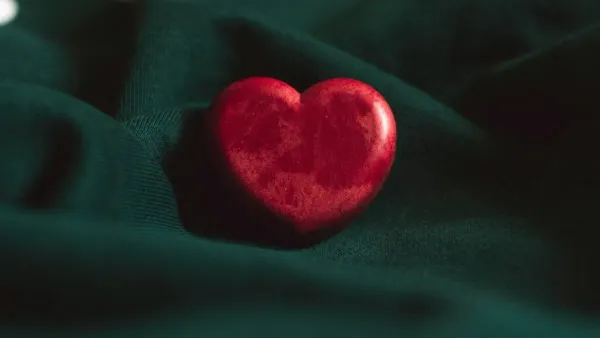 How to recover from business heartbreak